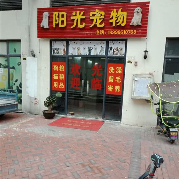 阳光宠物:清远市清城区龙塘镇附近