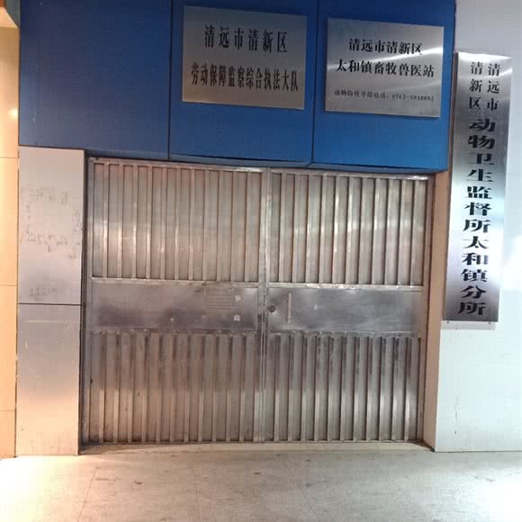 清远市清新区太和镇畜牧兽医站:清远市清新区滨江路附近