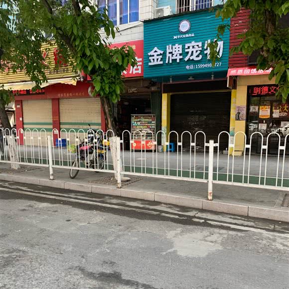 奥运金牌宠物:潮州市湘桥区新洋路附近