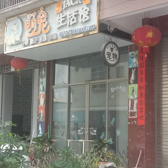 萌宠生活馆:揭阳市揭东区阳美附近