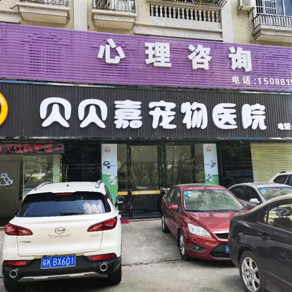 云浮市贝贝嘉宠物医院:云浮市云城区城北附近
