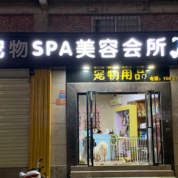 宠物用品:云浮市云城区酒吧街附近