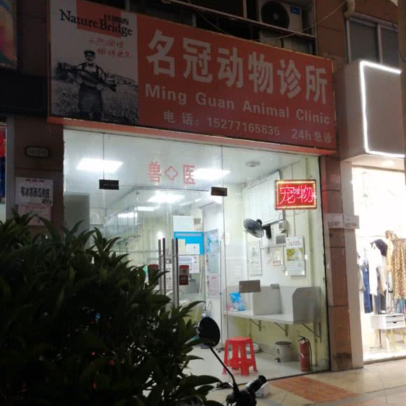 名冠动物诊所:南宁市兴宁区朝阳附近