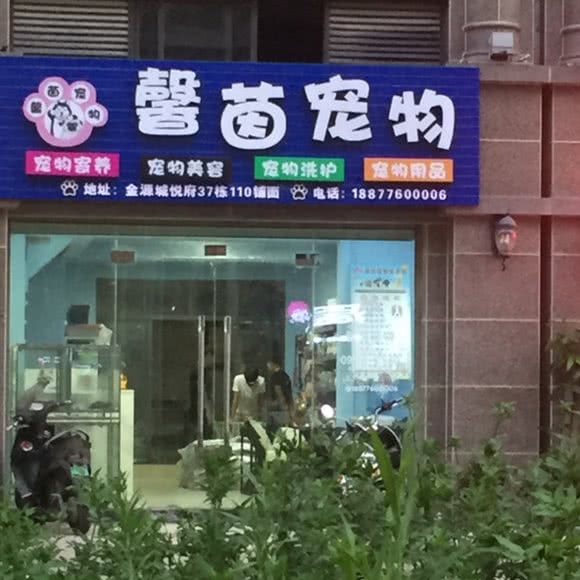 韾茵狗狗:南宁市兴宁区邕武路/狮山公园附近