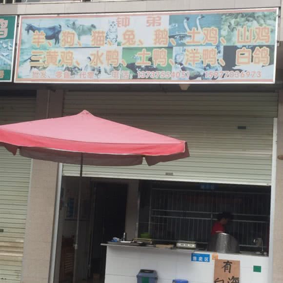 钟弟羊狗猫:南宁市兴宁区邕武路/狮山公园附近