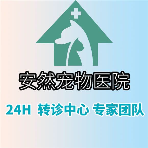安然宠物医院·牙科·肿瘤皮肤·转诊·血透中心:南宁市兴宁区邕武路/狮山公园附近