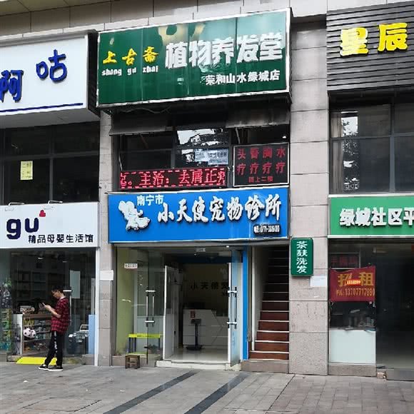 小天使宠物诊所:南宁市兴宁区邕武路/狮山公园附近