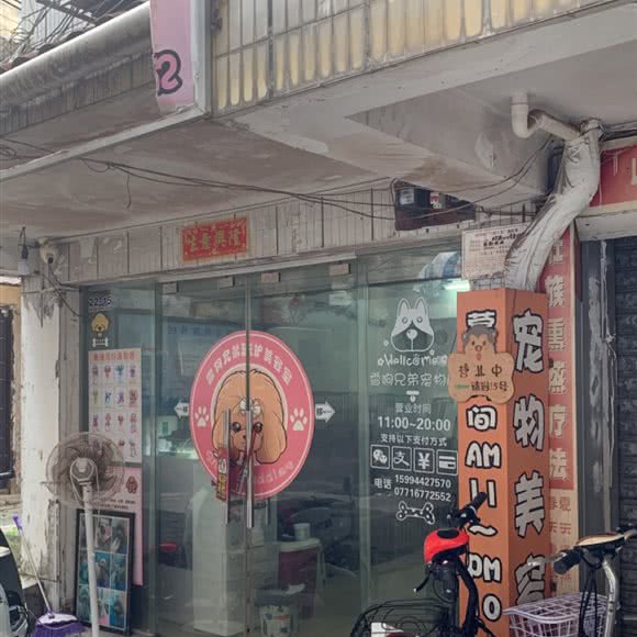 雪狗兄弟宠物店:南宁市兴宁区人民公园附近