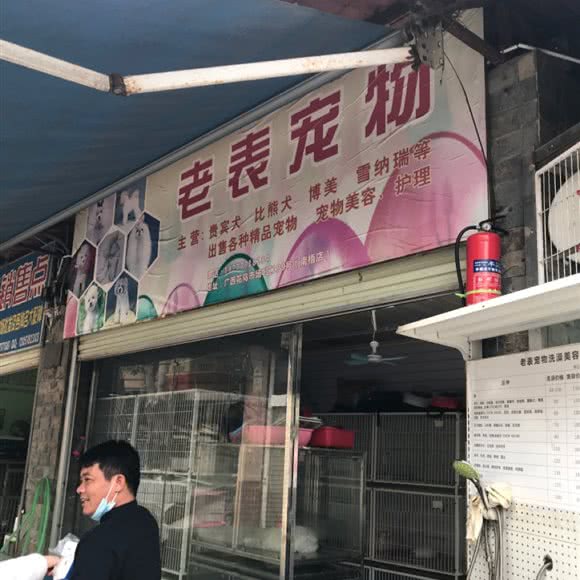 老表宠物(南梧店):南宁市兴宁区南梧路附近