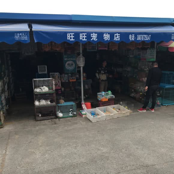 旺旺宠物店:南宁市兴宁区南梧路附近