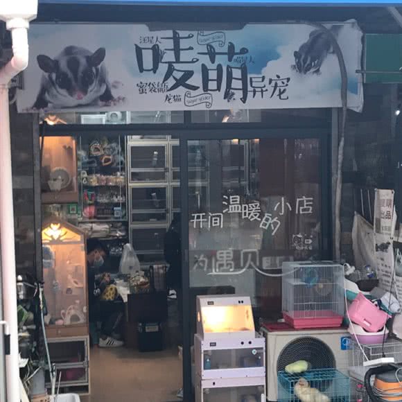 唛萌异宠:南宁市兴宁区南梧路附近