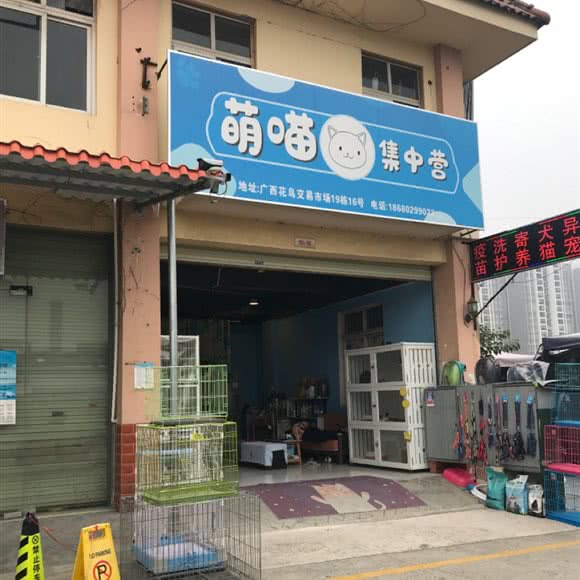 萌喵集中营:南宁市兴宁区南梧路附近