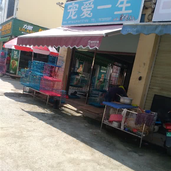 宠爱一生:南宁市兴宁区南梧路附近
