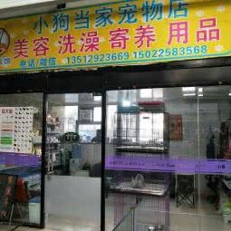小狗当家宠物店:天津城区滨海新区塘沽工农村附近