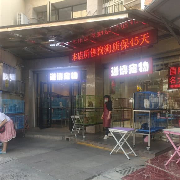 道博宠物:南宁市兴宁区南梧路附近