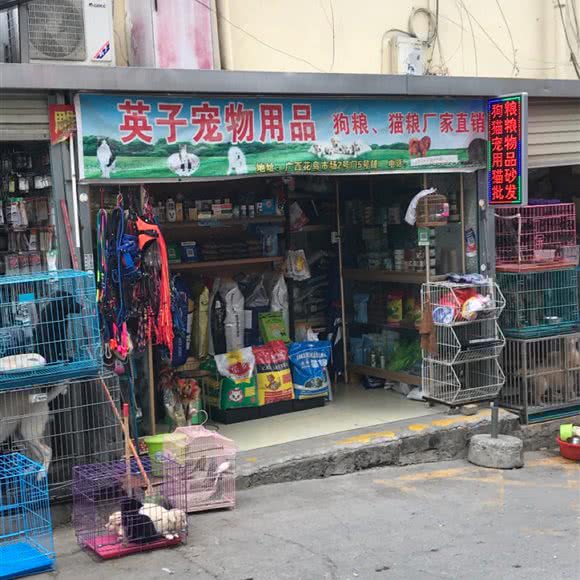英子宠物用品:南宁市兴宁区南梧路附近