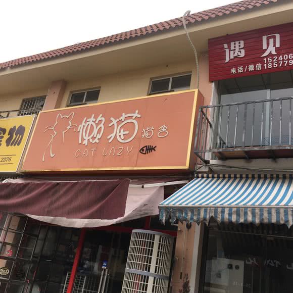 懒猫猫舍:南宁市兴宁区南梧路附近
