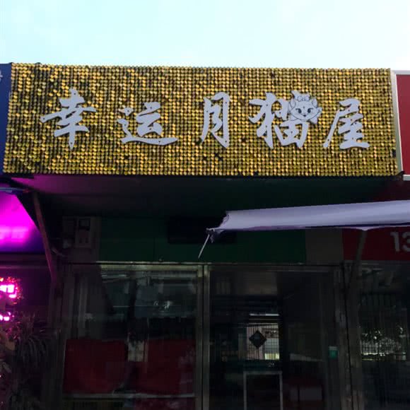 幸运月猫屋:南宁市兴宁区南梧路附近