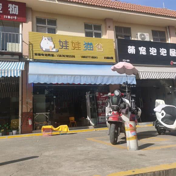 娃娃猫舍:南宁市兴宁区南梧路附近