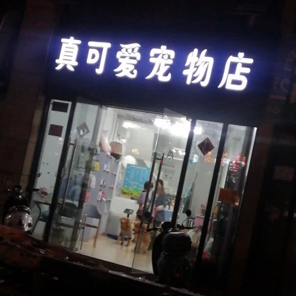 真可爱宠物店:南宁市兴宁区望州路附近