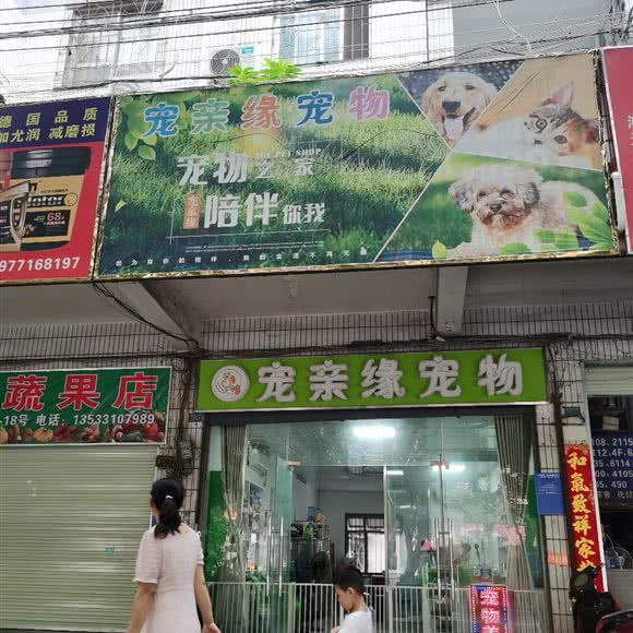 宠亲缘宠物:南宁市兴宁区望州路附近