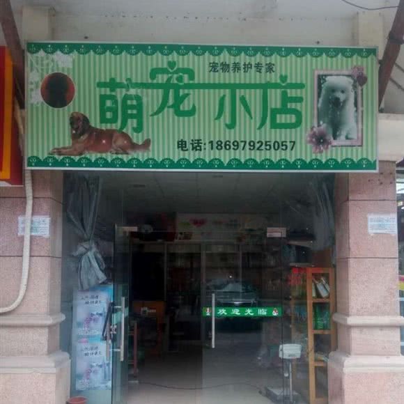 萌宠小店:南宁市兴宁区望州路附近