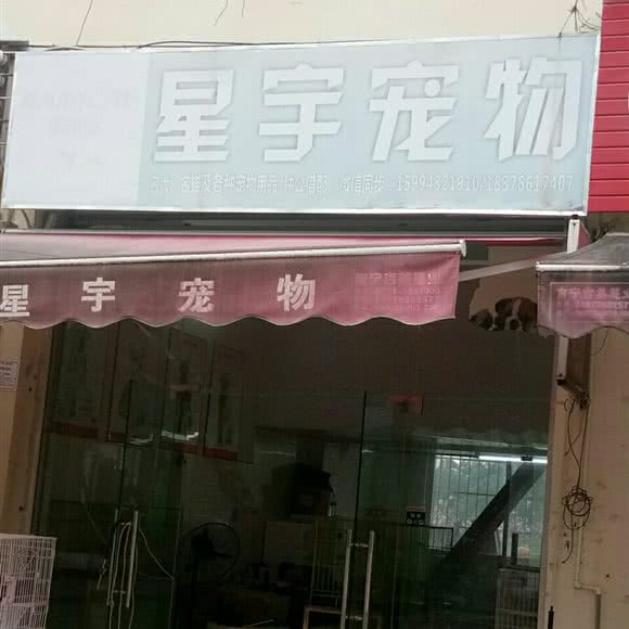 星宇宠物:南宁市兴宁区广西药用植物园附近