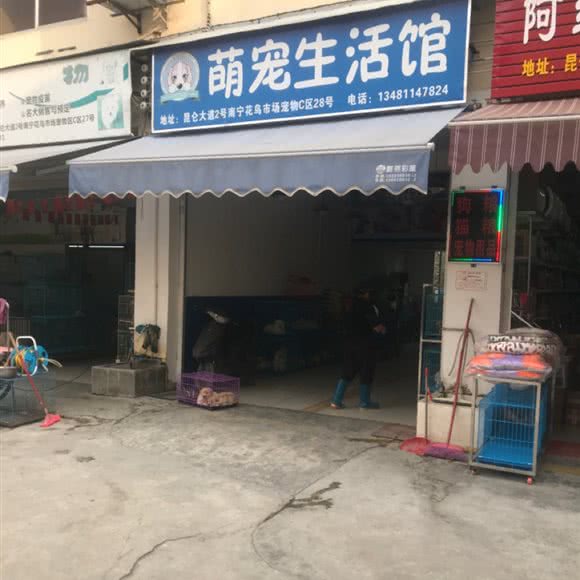 萌宠生活馆:南宁市兴宁区广西药用植物园附近