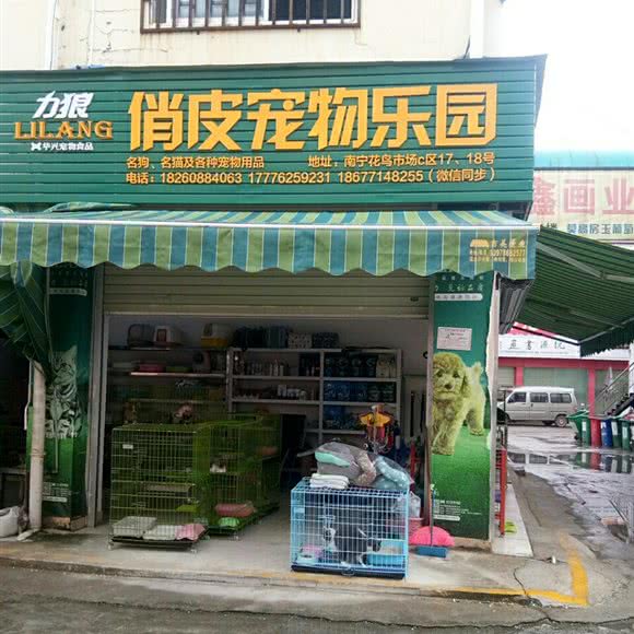 力狼俏皮宠物乐园:南宁市兴宁区广西药用植物园附近