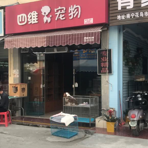四维宠物:南宁市兴宁区广西药用植物园附近