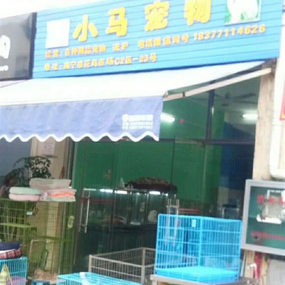 小马宠物:南宁市兴宁区广西药用植物园附近