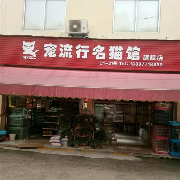 宠流行名猫馆:南宁市兴宁区广西药用植物园附近