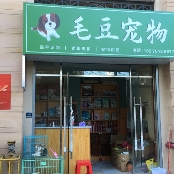 毛豆宠物:南宁市兴宁区长堽路附近