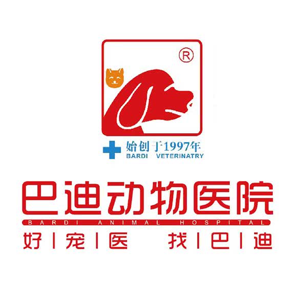 巴迪动物医院 骨外科丨24小时丨犬猫全科(中山路店):南宁市青秀区新民七星附近
