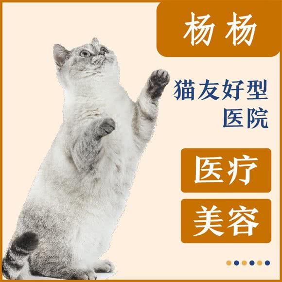 猫医馆:南宁市青秀区金湖广场附近