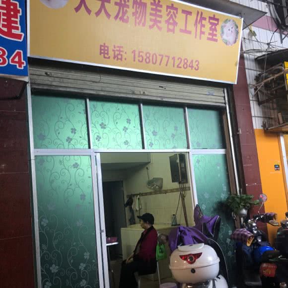天天宠物美容工作室:南宁市青秀区东葛园湖附近