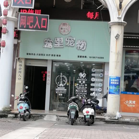 宠里宠物:南宁市青秀区星湖路附近