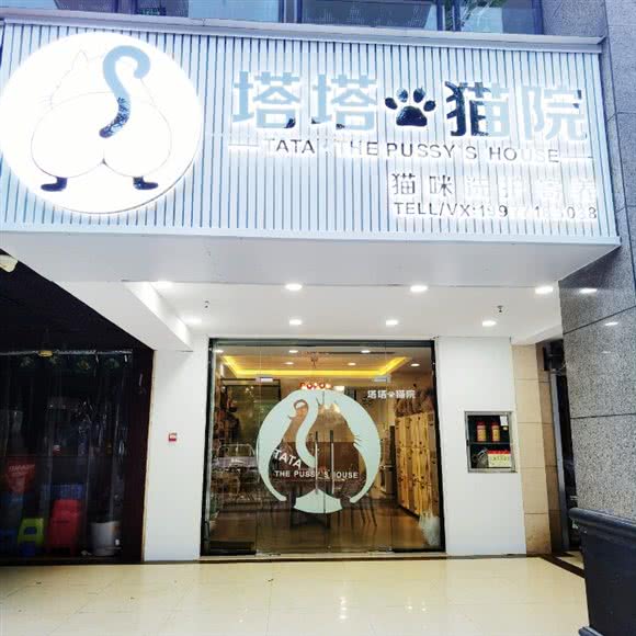 塔塔猫院猫咪洗护寄养(五洲店):南宁市青秀区东盟商务区附近