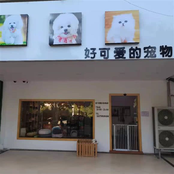 好可爱的宠物店:南宁市青秀区东盟商务区附近