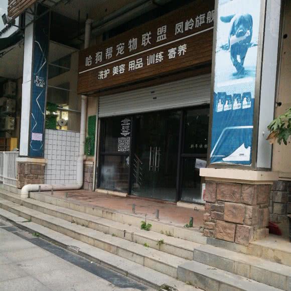 哈狗帮宠物联盟(凤岭旗舰店):南宁市青秀区东盟商务区附近