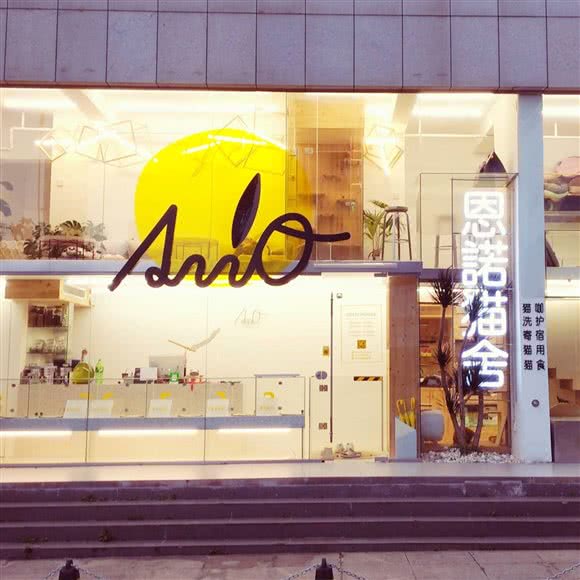 AnnO恩诺猫舍:南宁市青秀区东盟商务区附近