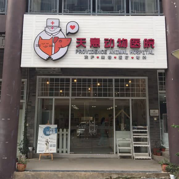 天意动物宠物医院:南宁市青秀区东盟商务区附近