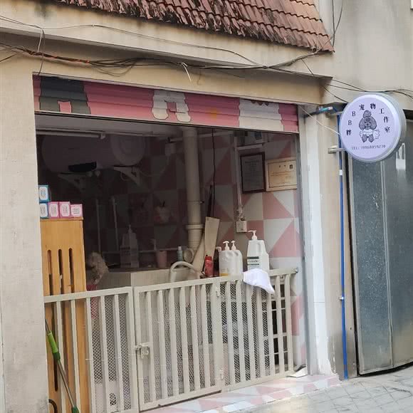 胖BB宠物工作室:南宁市青秀区竹溪大道附近