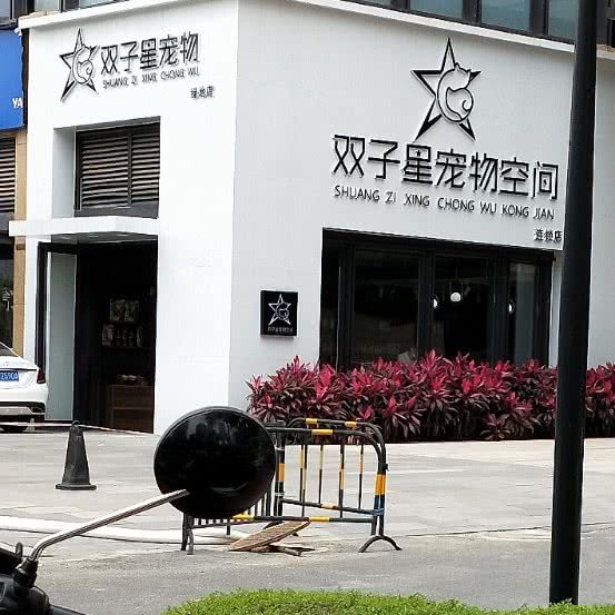 双子星宠物空间连锁(绿地店):南宁市青秀区青秀万达附近