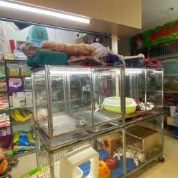 老潘宠物用品店:南宁市青秀区七星新民附近