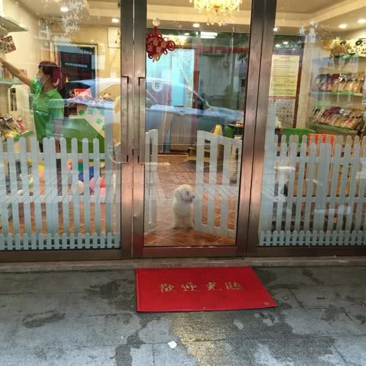 有家宠物店:南宁市青秀区埌西附近