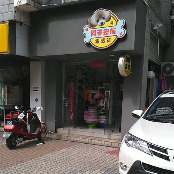 何子宠物:南宁市青秀区葛村路附近