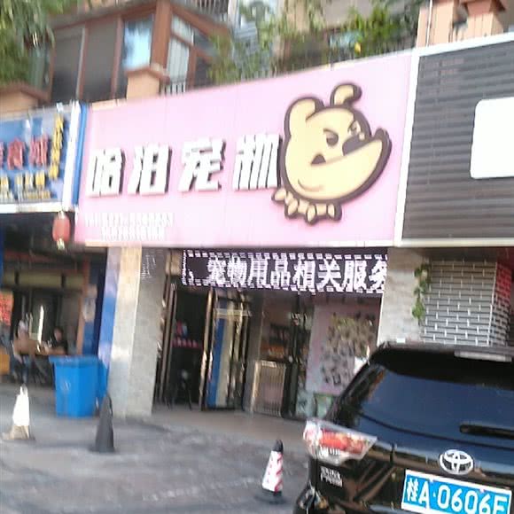 哈泊宠物:南宁市青秀区凤岭北附近
