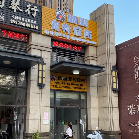 鹏鹏宠物诊所:南宁市青秀区凤岭北附近