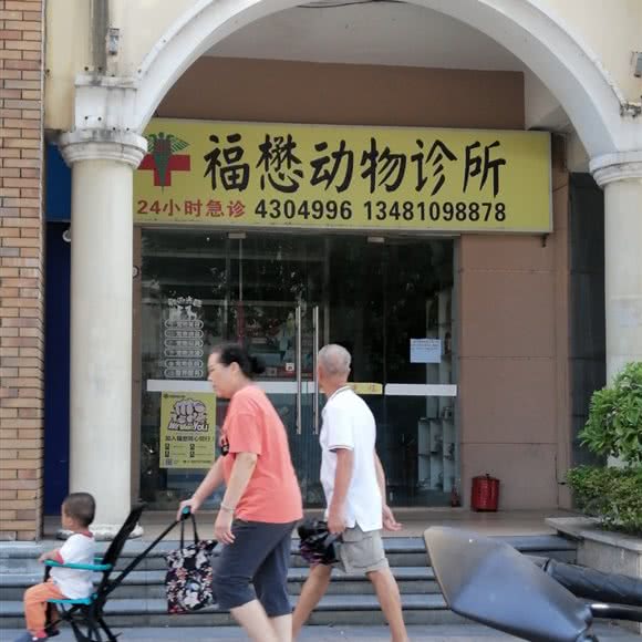 福懋动物诊所:南宁市江南区白沙大道附近